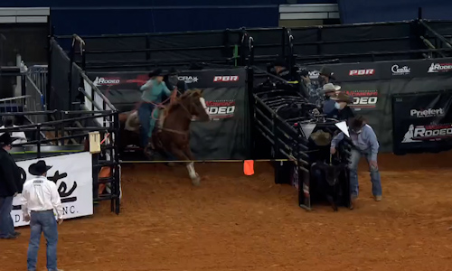 Showing the breakaway roping still image.