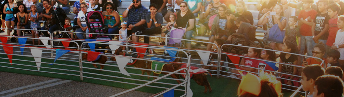 Showing a large crowd sitting in the bleachers.