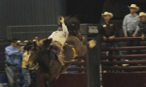 Showing bareback riding.