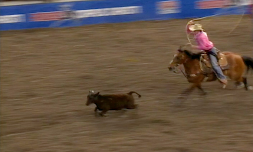 Showing the tie down roping still image.