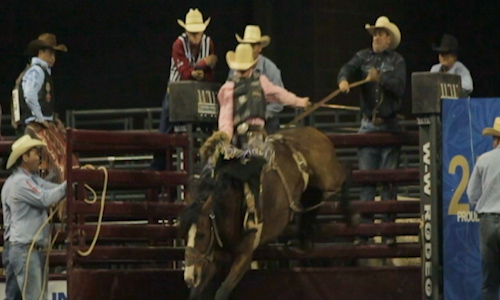 Showing a cowboy riding a bronc during the saddle bronc competition.