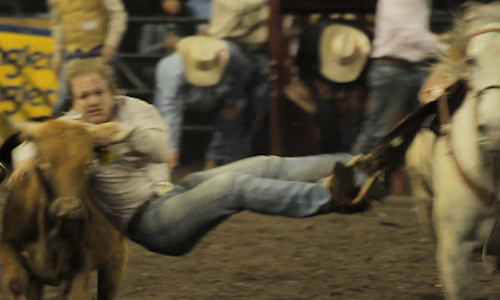 Showing the steer wrestling event.